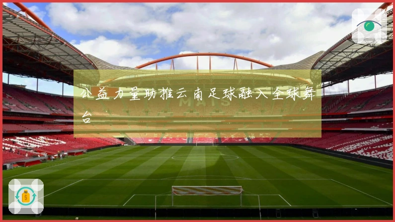 公益力量助推云南足球融入全球舞台